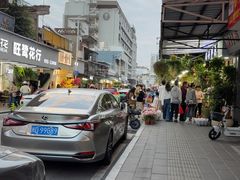 -溪岸路花鸟市场