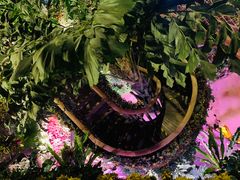 -正佳雨林生态植物园