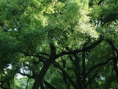 -晓港公园
