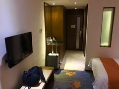 -九华山聚龙大酒店