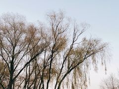 -野鸭湖国家湿地公园