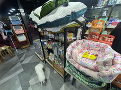 -久久宠物(河东万达店)