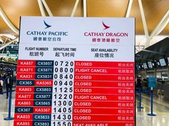 -上海浦东国际机场-T2航站楼