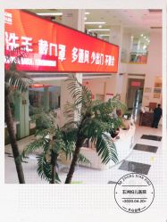 -五洲妇儿医院