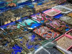 -霞涌市场海鲜摆卖区