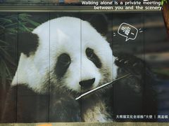 -奎星楼街