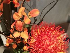 -百富源·海鲜辽菜(和平北大街店)