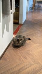 -优刻西服西装定制(金轮国际广场店)