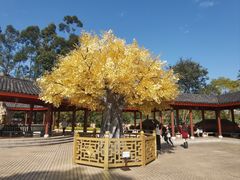 -广东圆玄道观