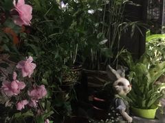 -嘉禾·悦享餐厅(八方汇店)