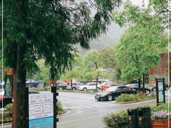 -姑婆山旅游区