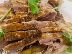 招牌鹅肉-日日香卤鹅饭店·澄海狮头鹅(澄海店)