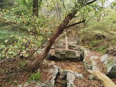-大青沟风景区