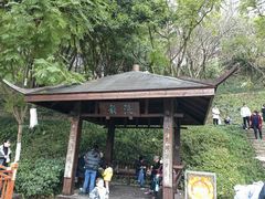 -重庆彩云湖湿地公园