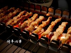 -很久以前羊肉串(昌里路三钢里店)