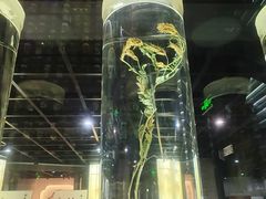 -广东中医药博物馆