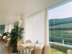 -龙坞茶村