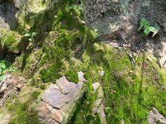 -敬亭山风景名胜区