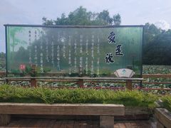 -大湾区中央湿地公园