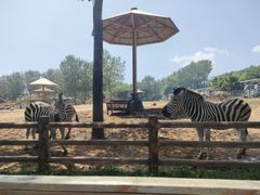 -大连森林动物园