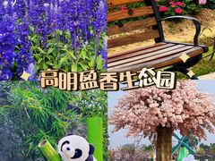 -盈香心动乐园