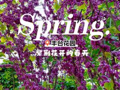 -丰台花园