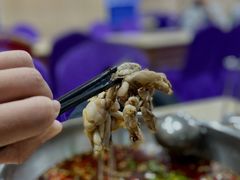 -渔香岛美蛙鱼头火锅(威清路店)