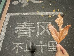 -杭州半山国家森林公园