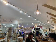 -喵园·猫主题咖啡厅·撸猫·猫咖(国贸店)