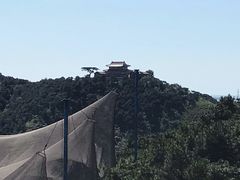 -燕塞湖鸟语林景区