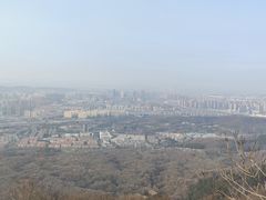 -紫金山山顶公园