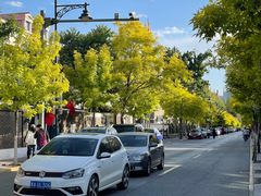 -天津五大道文化旅游区