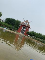 -上美四季动物农场