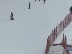 -长春莲花山滑雪场