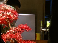 -陆小年创意自助料理(宿迁吾悦店)