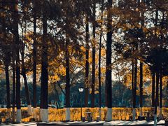 -浙江万里学院(回龙校区)