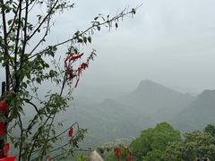 -青城山