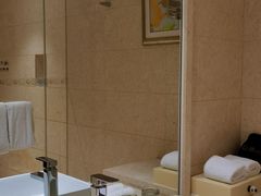 -深圳湾科技园丽雅查尔顿酒店