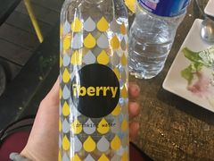 -莓园冰淇淋店