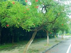-华南师范大学(广州大学城校区)