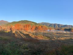 -塔川景区