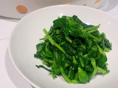 高山豆苗-南麓·浙里(外滩店)