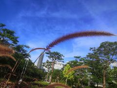 -深圳市人才园(深南大道店)