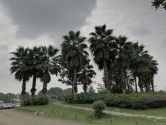 -国际非物质文化遗产博览园