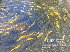 -天源渔港农庄