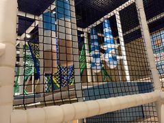 -meland·儿童乐园·游戏厅娃娃机·电玩Xbox(成都合生汇店)