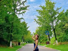 -铁山坪森林公园