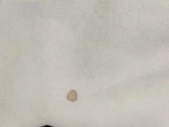 -福奈特洗衣洗鞋(温榆广场店)