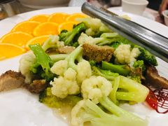 -佛光山朝山会馆