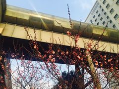 住院部-上海市第十人民医院(总院)